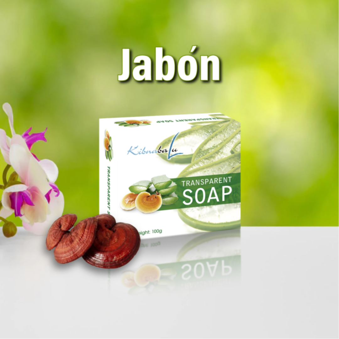 Jabón de Ganoderma